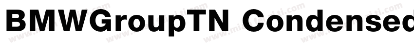 BMWGroupTN Condensed (正文)字体转换